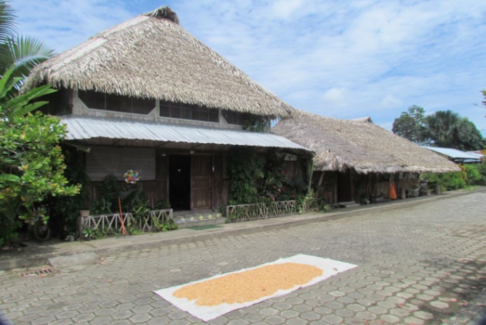 Oropendula