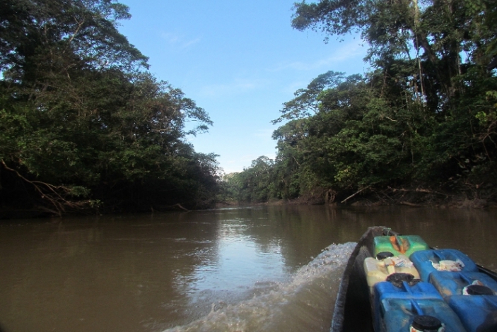 Yasuni Canoa