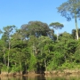 Yasuni