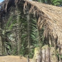 Casa_Wao